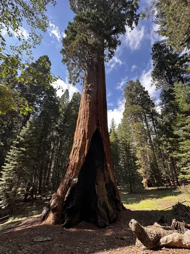 Kings canyon national outlet park hiking trails