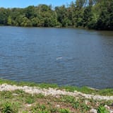 Lake Accotink Trail, Virginia - 2,449 Reviews, Map | AllTrails