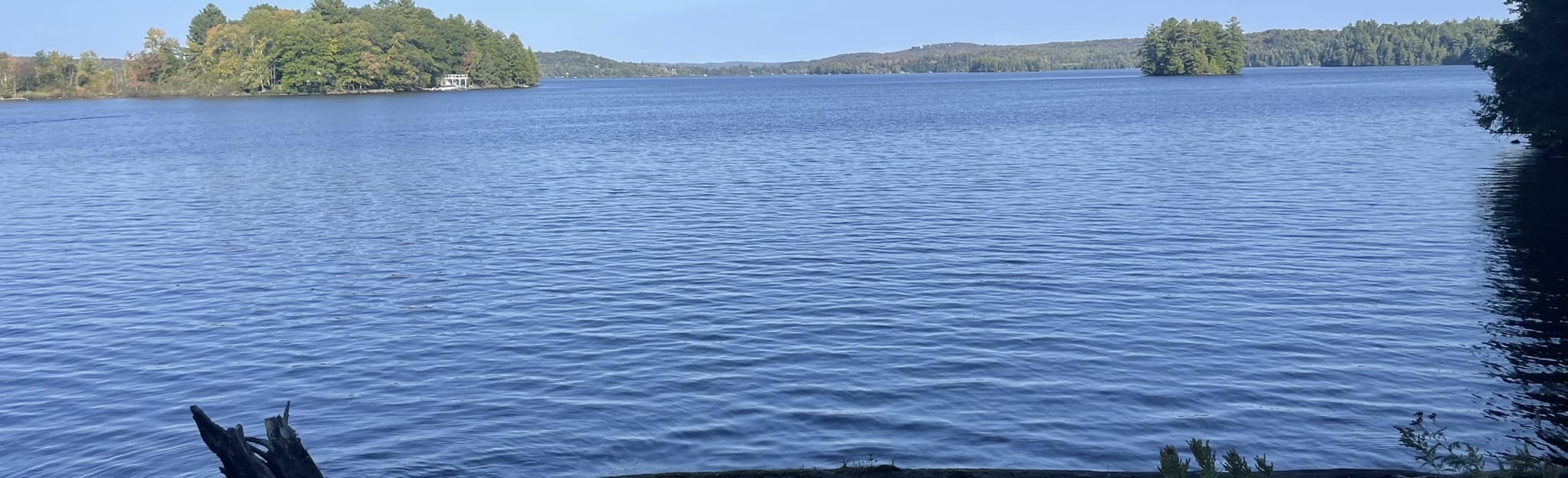 Camp Kitchen 18 foto's Ontario, Canada Wandelen AllTrails