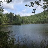 Elkhorn Lake, Virginia - 24 Reviews, Map | AllTrails