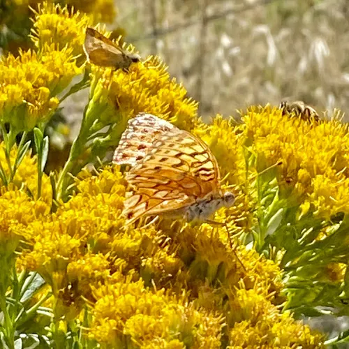 2023 Best Off Road Driving Trails in Lake Arrowhead AllTrails