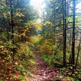 Angleworm Lake Trail, Minnesota 108 Reviews, Map AllTrails