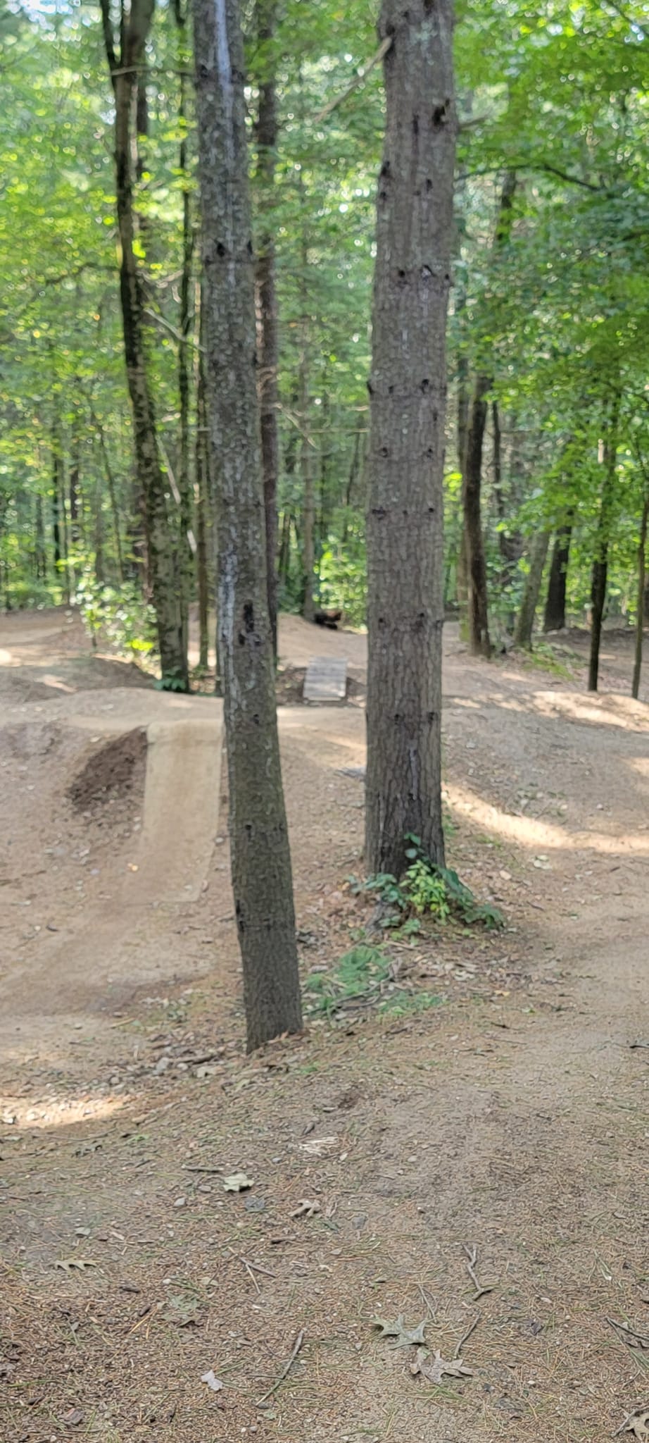 Russell mill pump track deals
