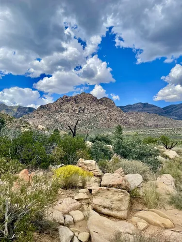 10 Best Trails and Hikes in Las Vegas
