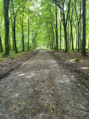 best-hikes-and-trails-in-moore-abbey-woods-alltrails