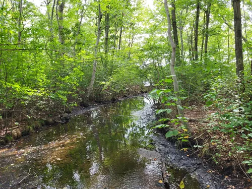 2023 Best Forest Trails in North Babylon | AllTrails