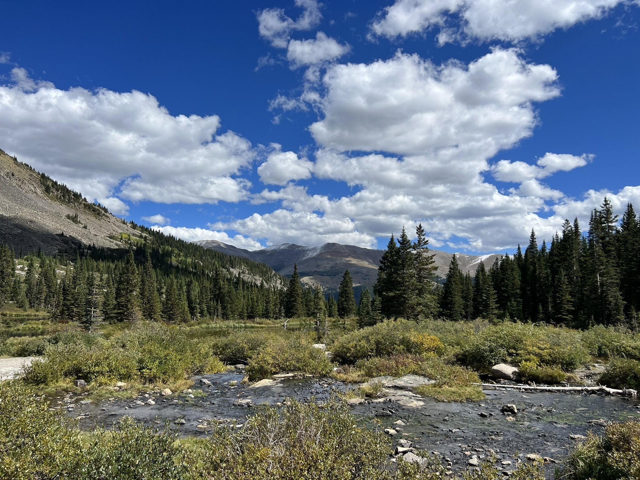 Photos of Blue River, Colorado wildflowers trails