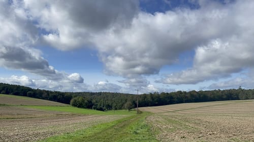 Waldrundweg in Hünstetten