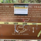 Bulow Woods Hiking Trail, Florida - 227 Reviews, Map | AllTrails