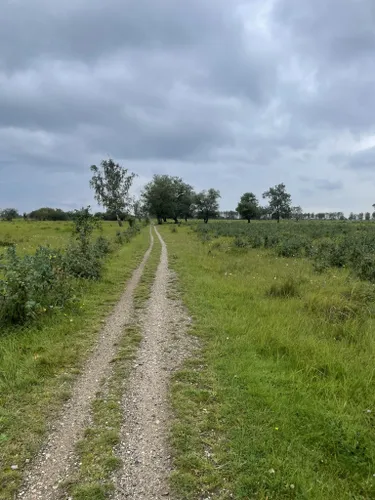 2023 Best Long Trails in Kalvebod Fælled | AllTrails