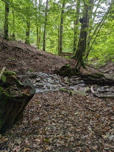 Premiumwanderweg: Traumschleife Wadrilltal - Tafeltour