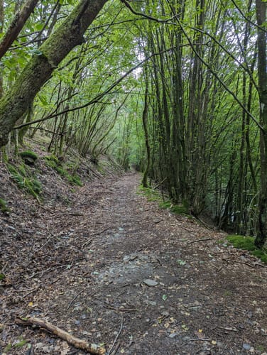 Premiumwanderweg: Traumschleife Wadrilltal - Tafeltour