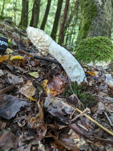 Premiumwanderweg: Traumschleife Wadrilltal - Tafeltour
