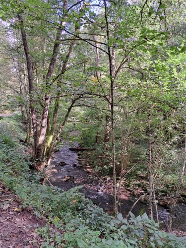 Runde an der Kleinen Enz