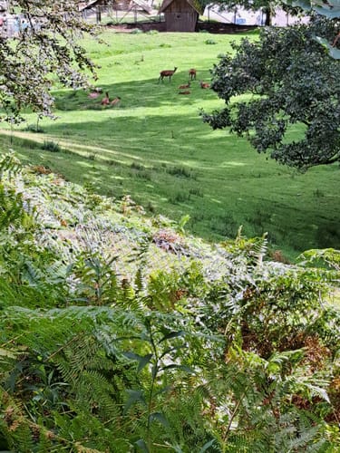 Runde an der Kleinen Enz