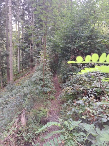 Runde an der Kleinen Enz