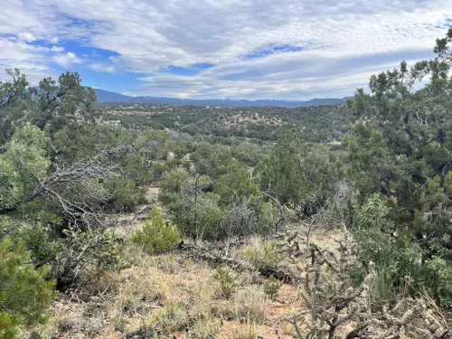 Best Hikes and Trails in Eldorado at Santa Fe | AllTrails