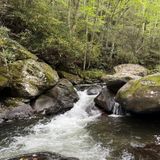 Virginia Creeper Trail: Damascus to Whitetop, Virginia - 834 Reviews ...