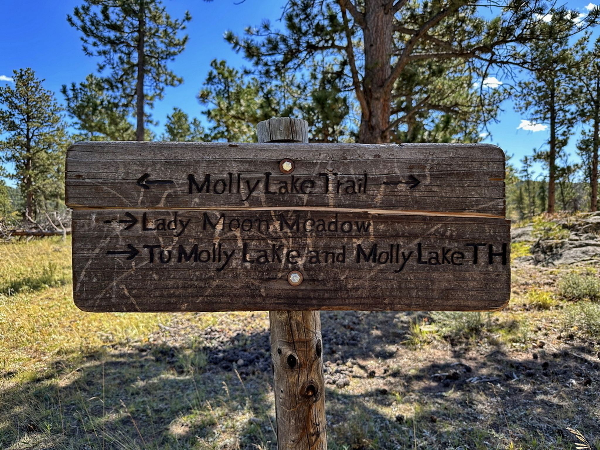 Photos of Lady Moon and Molly Moon - Colorado | AllTrails