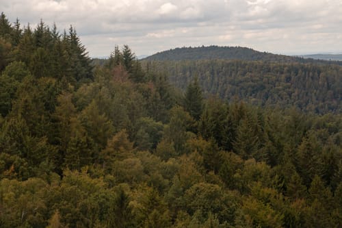 Zum Eckkopf