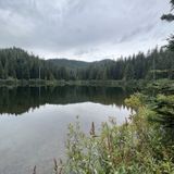 Burnt Lake Trail, Oregon - 1,300 Reviews, Map | AllTrails