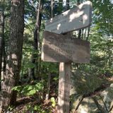 The Long Trail, Vermont - 179 Reviews, Map | AllTrails