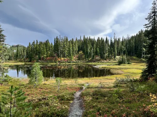 Best 10 Hikes And Trails In Strathcona Provincial Park | AllTrails