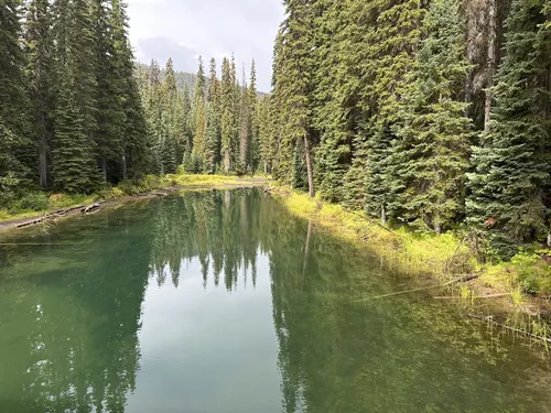 Poland lake clearance trail manning park