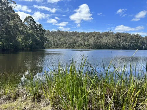 Best Hikes and Trails in Greater Beedelup National Park | AllTrails