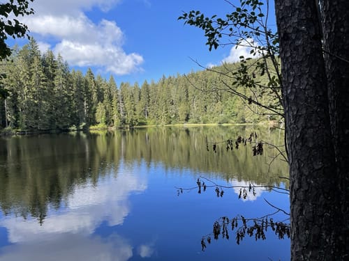 Säbelthomaweg (Genießerpfad)
