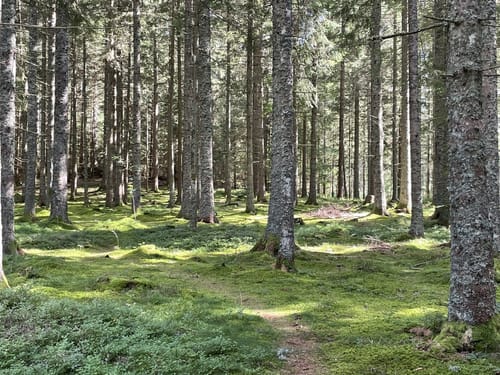 Säbelthomaweg (Genießerpfad)