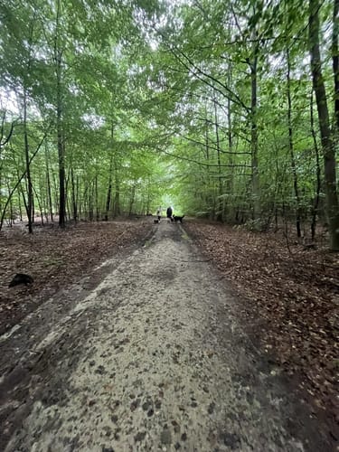 Nordpfad Kempowskis Idylle