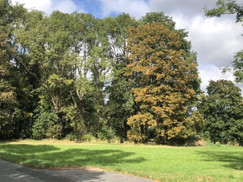 Rundweg König David US21