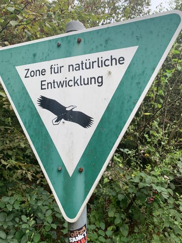 Winschertsfelsschleife