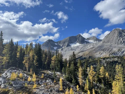 10 Best Hikes and Trails in Height of the Rockies Provincial Park ...