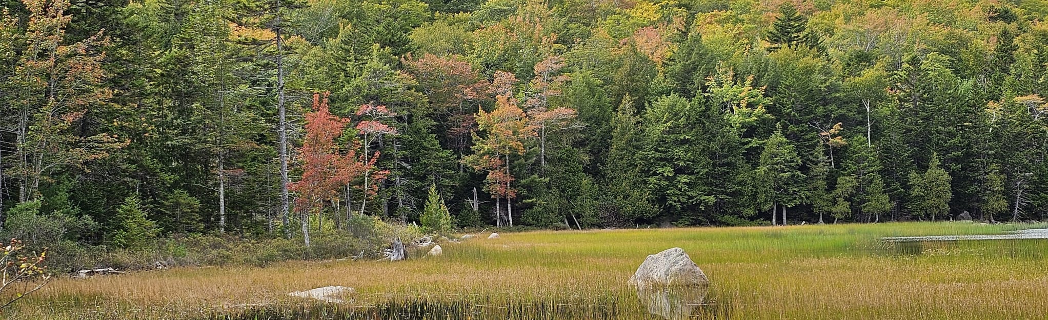 Eagle Lake Carriage Road to Eagle Lake Trail, Maine 284 Reviews, Map