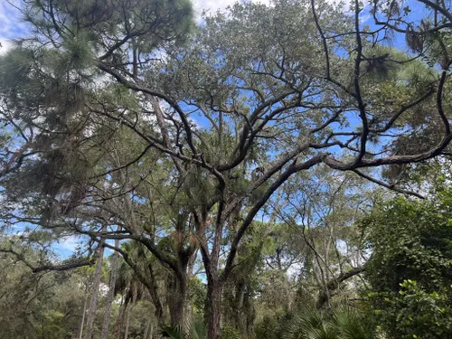 The Gardens Mall Walking And Running Trail - Palm Beach Gardens