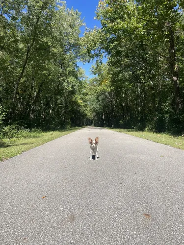 saylorville lake bike trails