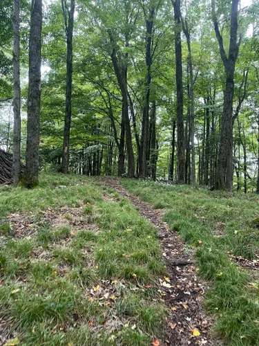 Allegany state park outlet hiking trails