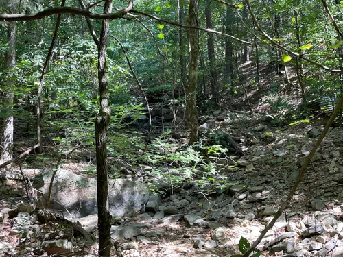 2023 Best Wild Flowers Trails in Fairfield Bay AllTrails