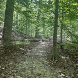 Cascade Falls Trail, Maryland - 1,664 Reviews, Map 