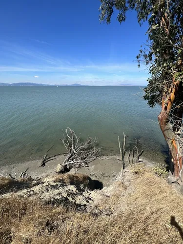 2023 Best Historic Site Trails in Point Pinole Regional Park | AllTrails