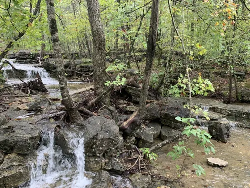 10 Best Trails and Hikes in Branson | AllTrails