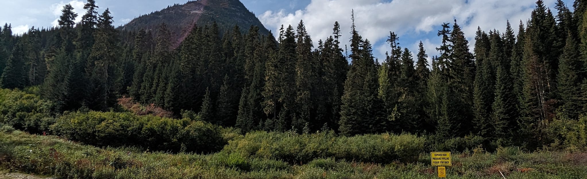 Falls Lake Trail 226 Reviews - EyJidWNrZXQiOiJhc3NldHMuYWxsdHJhaWxzLmNvbSIsImtleSI6InVwbG9hZHMvcGhvdG8vaW1hZ2UvNjU5NzM5MjAvYWZlYjVjM2YxYTFiZmM3NzRjNzZjOWE4YjI0NjU2M2YuanBnIiwiZWRpdHMiOnsidG9Gb3JtYXQiOiJqcGVnIiwicmVzaXplIjp7IndpZHRoIjoyMDQ0LCJoZWlnaHQiOjYyNCwiZml0IjoiY292ZXIifSwicm90YXRlIjpudWxsLCJqcGVnIjp7InRyZWxsaXNRdWFudGlzYXRpb24iOnRydWUsIm92ZXJzaG9vdERlcmluZ2luZyI6dHJ1ZSwib3B0aW1pc2VTY2FucyI6dHJ1ZSwicXVhbnRpc2F0aW9uVGFibGUiOjN9fX0=