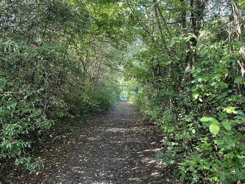 Rundweg Westlicher Hörselberg 