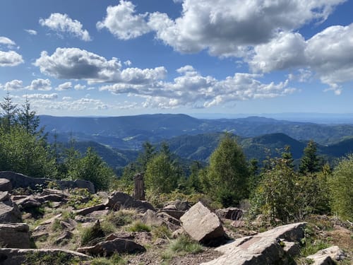 Buhlbachsee und Lotharpfad Rundwanderung
