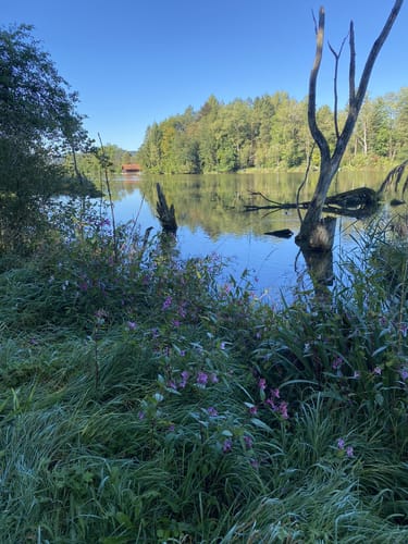 Illerstauseerunde