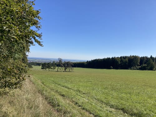 Von Altsteußlingen zum Blauen Steinbruch