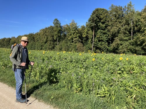 Von Altsteußlingen zum Blauen Steinbruch