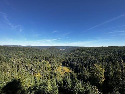 Seensteig Etappe 1: Baiersbronn - Mitteltal